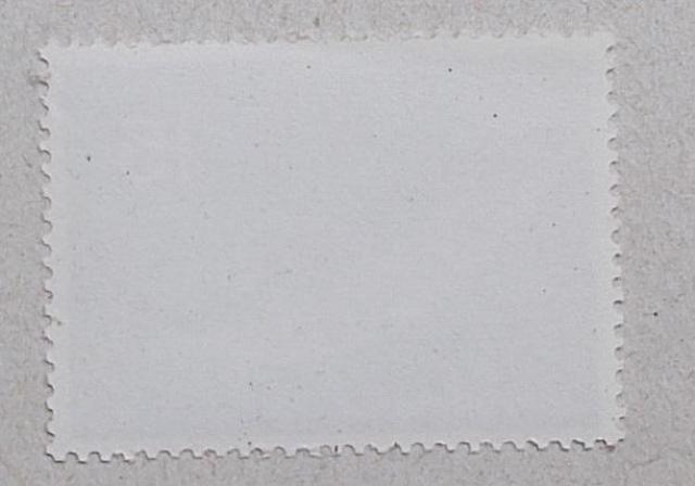 【未使用】魚介シリーズ サケ 1枚 < ホビー 【未使用】魚介シリーズ サケ 1枚 < ホビーの