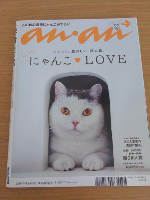 an.an ちいかわ 2314増刊号 < アニメ/コミック/キャラクター  an.an ちいかわ 2314増刊号 < アニメ/コミック/キャラクターの