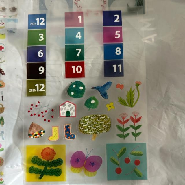 �蒠�p�V�[���Z�b�g �� �C���e���A/���C�t�� 