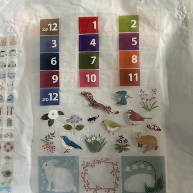 �蒠�p�V�[���Z�b�g �� �C���e���A/���C�t�� 