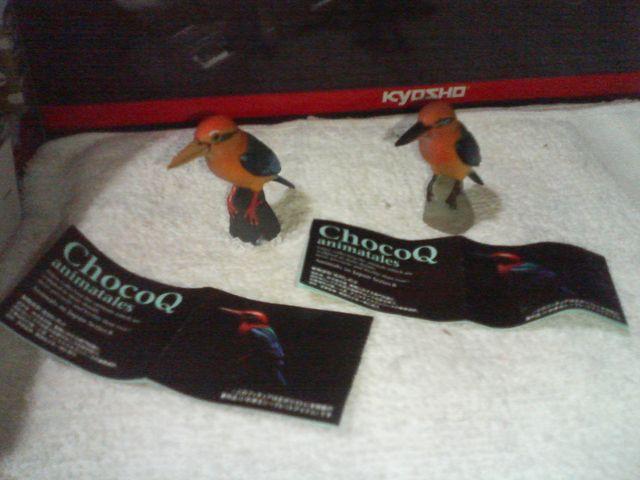 チョコQ アニマルズ8 ミヤコショウビン シークレット 2種 < ホビー チョコQ アニマルズ8 ミヤコショウビン シークレット 2種 < ホビーの