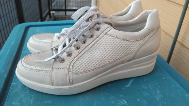 Giano Valentino  WA[mo`m fB[XV[Y TCYSO  t@bV 