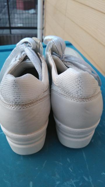 Giano Valentino  WA[mo`m fB[XV[Y TCYSO  t@bV 