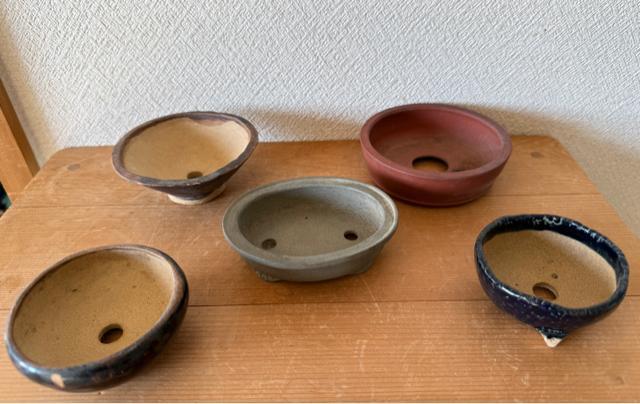 J 盆栽鉢 豆盆栽鉢 山野草鉢 多肉植物鉢 植木鉢 5鉢セット陶器製 落款印あり < ペット/手芸/園芸 J 盆栽鉢 豆盆栽鉢 山野草鉢 多肉植物鉢 植木鉢 5鉢セット陶器製 落款印あり < ペット/手芸/園芸の