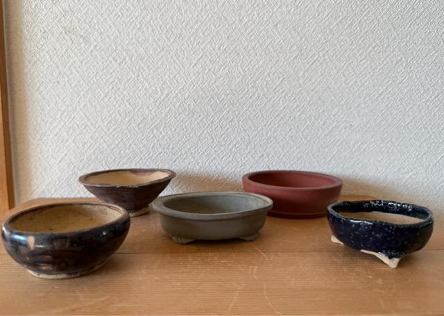 J 盆栽鉢 豆盆栽鉢 山野草鉢 多肉植物鉢 植木鉢 5鉢セット陶器製 落款印あり < ペット/手芸/園芸 J 盆栽鉢 豆盆栽鉢 山野草鉢 多肉植物鉢 植木鉢 5鉢セット陶器製 落款印あり < ペット/手芸/園芸の