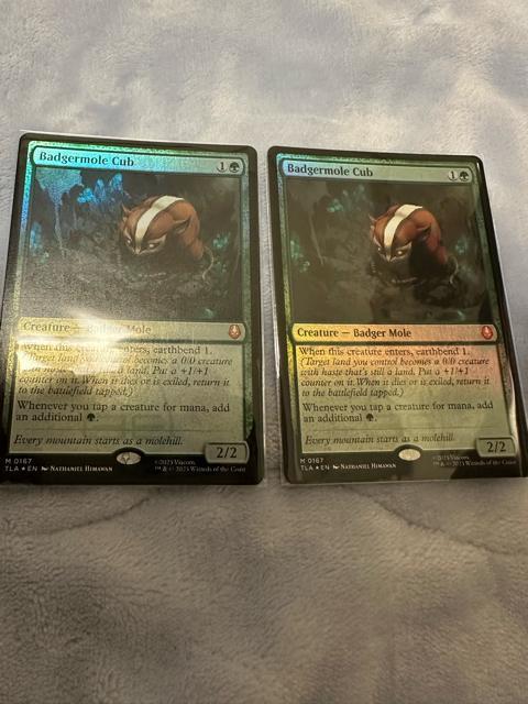 MTG FOIL �A�i�O�}���O���̎e2���Z�b�g  �� �g���[�f�B���O�J�[�h�� 