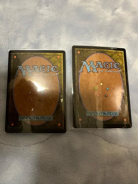 MTG FOIL �A�i�O�}���O���̎e2���Z�b�g �� �g���[�f�B���O�J�[�h�� 