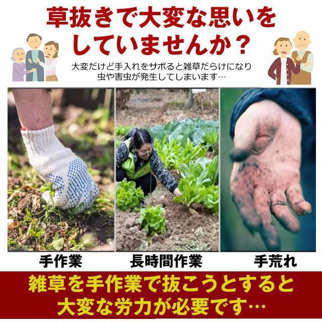     L    G G ނ G        ybg/|/| 