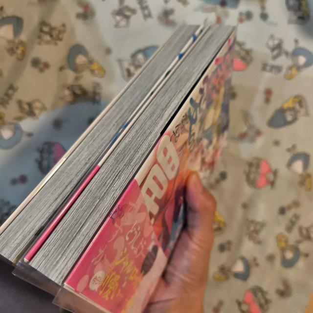 ŁIJo[tI10񍥖jꂽOݗlɓM 1 2  Aj/R~bN/LN^[ 