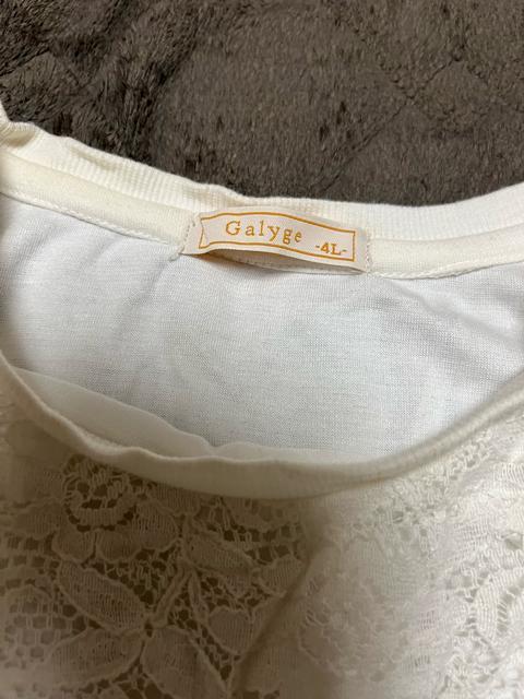 タンス整理品 衣類 おまとめOK ホームクリーニング済み レディース半袖ブラウス 4L < 女性ファッション  タンス整理品 衣類 おまとめOK ホームクリーニング済み レディース半袖ブラウス 4L < 女性ファッションの