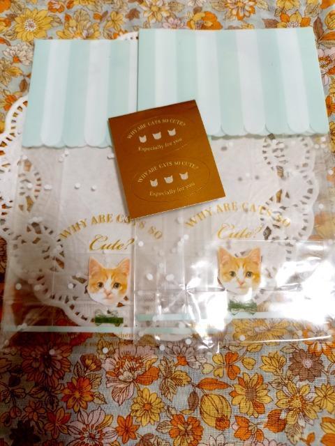 lR̃bsOobN2+V[2   CeA/Ct 