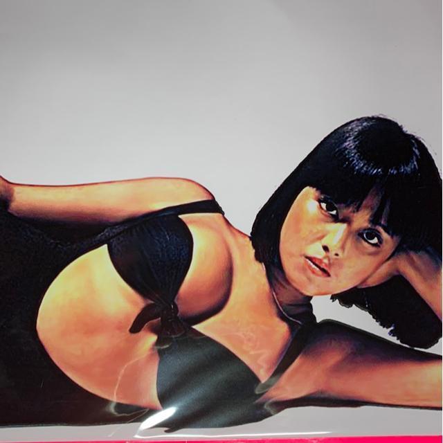 �������� ���T�i������ ��́jA�S�T�C�Y�T���{���@�N���A�|�P�b�g���� �� �^�����g�O�b�Y�� 