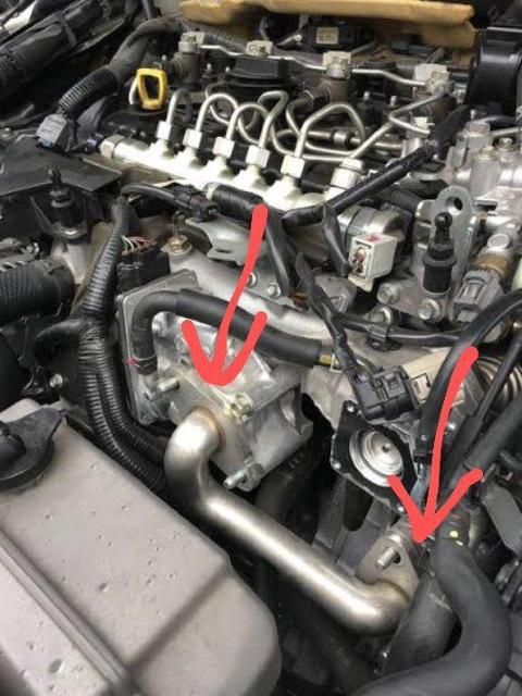 �}�c�_6.CX-5.CX-8 �A�N�Z���f�B�[�[���p�@EGR�����v���[�g 11mm �� ������/�o�C�N