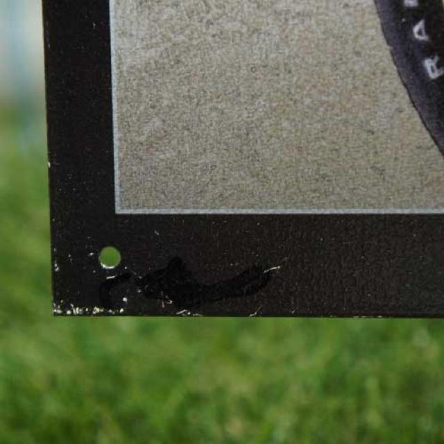 ViyuLŔzOldsmobile^I[YrE442  zr[ 