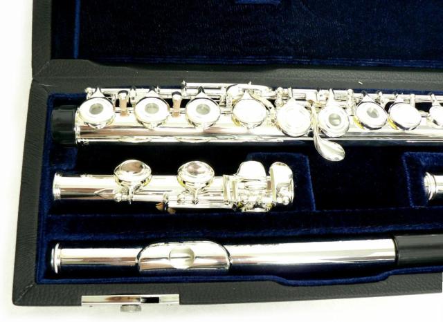 Fairyt[g Vo[bLEOL[ECǁtǕtEVi  zr[ 