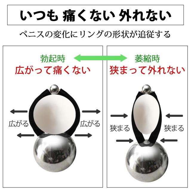 yjX yjX yjXO N}bL[EFCg300CRubNh~Xgbvt sO Z R  wX/r[eB[ 