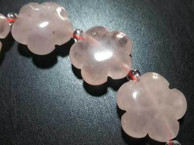 VR΁[YNH[c@@A  ANZT[/v 