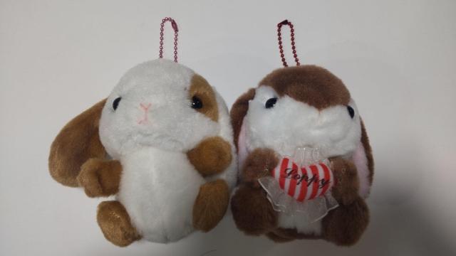 �ۂĂ�������ҁ[�Z�b�g  �� ��������� 