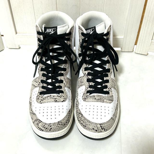 i NIKE iCL ^[~l[^[ nC "RRAXl[N" 30cm  uh 