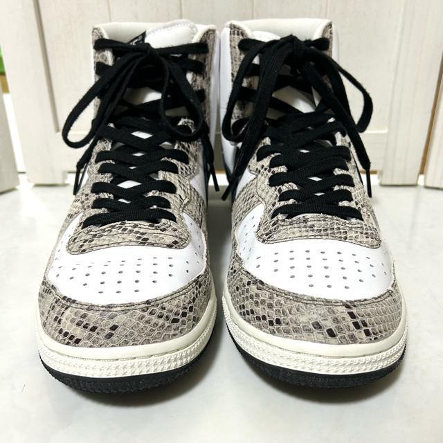 i NIKE iCL ^[~l[^[ nC "RRAXl[N" 30cm  uh 