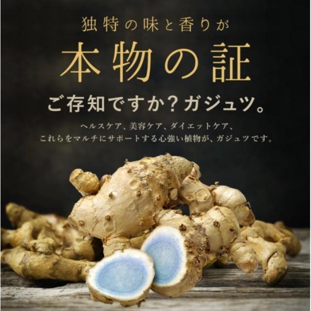 ガジュツ 紫ウコンサプリメント約3ヵ月分 美容 健康 ダイエット お酒 < グルメ/ドリンク  ガジュツ 紫ウコンサプリメント約3ヵ月分 美容 健康 ダイエット お酒 < グルメ/ドリンクの