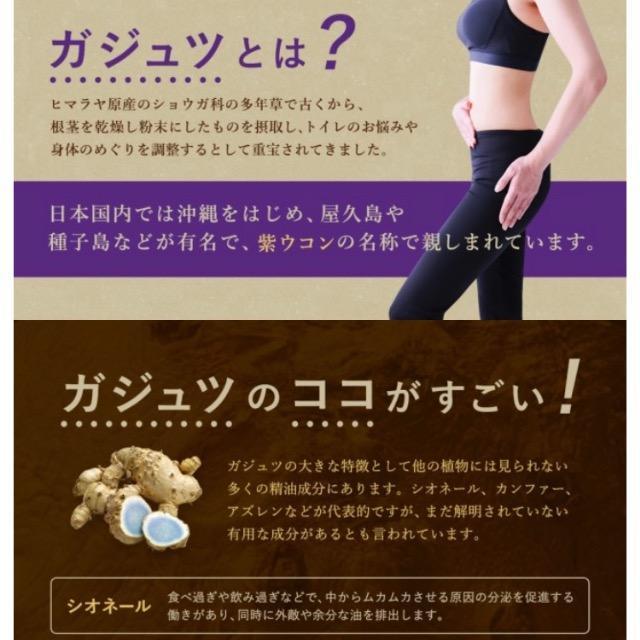 ガジュツ 紫ウコンサプリメント約3ヵ月分 美容 健康 ダイエット お酒 < グルメ/ドリンク  ガジュツ 紫ウコンサプリメント約3ヵ月分 美容 健康 ダイエット お酒 < グルメ/ドリンクの