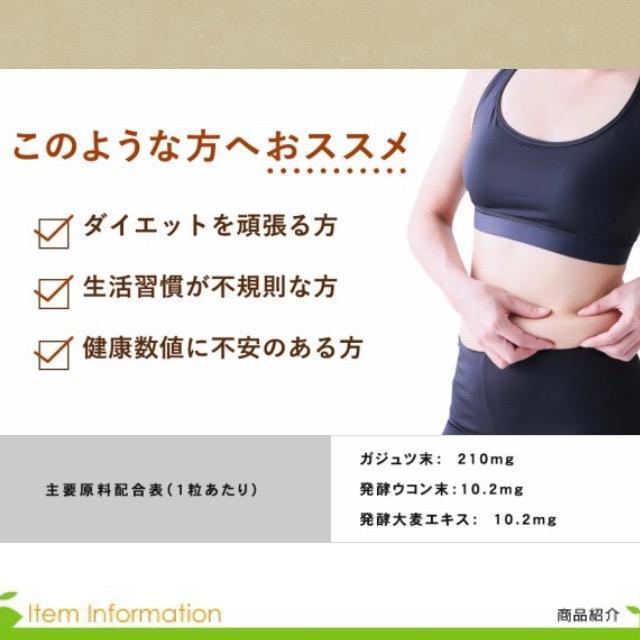 ガジュツ 紫ウコンサプリメント約3ヵ月分 美容 健康 ダイエット お酒 < グルメ/ドリンク  ガジュツ 紫ウコンサプリメント約3ヵ月分 美容 健康 ダイエット お酒 < グルメ/ドリンクの