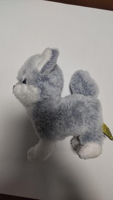 �ӂ�ӂ팢�̂ʂ������  �� ��������� 