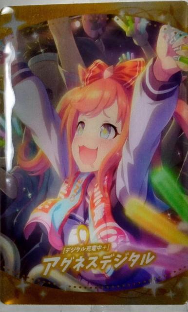 ウマ娘〜『アグネスデジタル』のカード < アニメ/コミック/キャラクター  ウマ娘〜『アグネスデジタル』のカード  < アニメ/コミック/キャラクターの