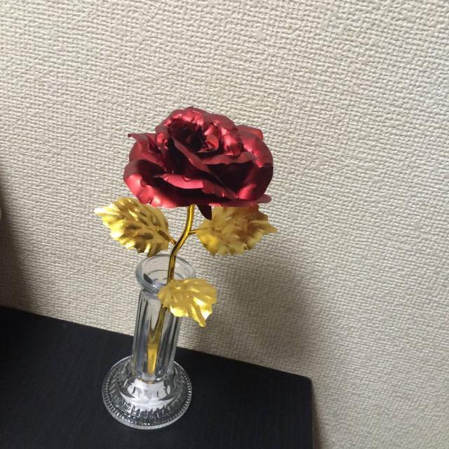 送料込【造花】花瓶付き『(オーロラローズ) シック ローズ (レッド) 薔薇フラワー 』全て新品 < インテリア/ライフ  送料込【造花】花瓶付き『(オーロラローズ) シック ローズ (レッド) 薔薇フラワー 』全て新品 < インテリア/ライフの