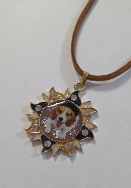 r[OLL킢lbNX@@r[O@@@@@@r[OANZT[@@@r[Oy_g@@L[z_[@  t@bV 