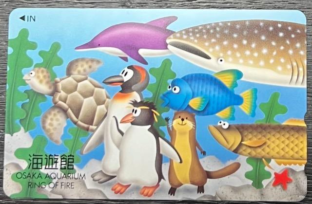 海遊館 ペンギン テレフォンカード50度数 < チケット/金券 海遊館 ペンギン テレフォンカード50度数 < チケット/金券の