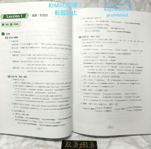 中級スペイン語文法 改訂版 2023 Gramática española de < 本/雑誌  中級スペイン語文法 改訂版 2023 Gramática española de < 本/雑誌の