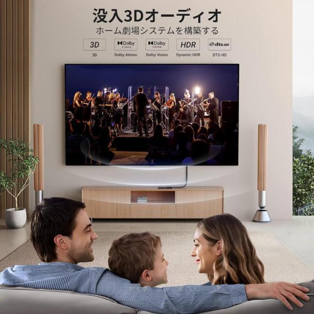 HDMI P[u(HDMI IX-X)@4K 60Hz 3DΉ  Ɠd/AV 