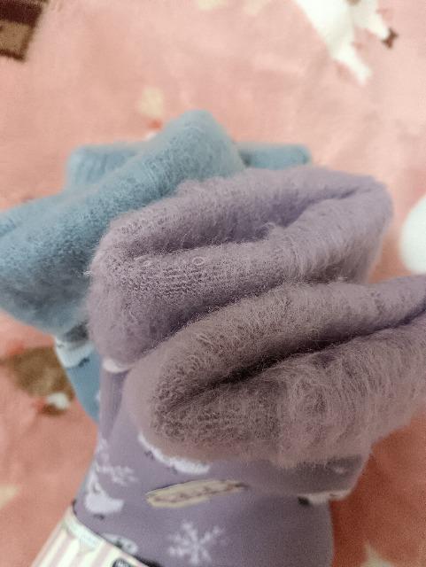 �V�}�G�i�K���̌C���Q���g�A�V�i