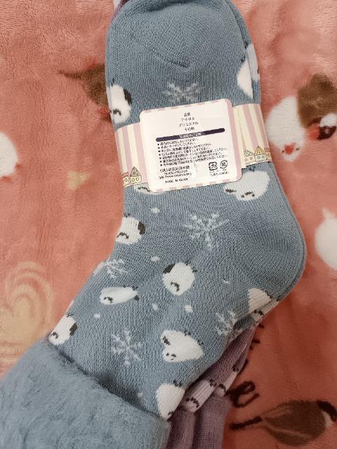 �V�}�G�i�K���̌C���Q���g�A�V�i