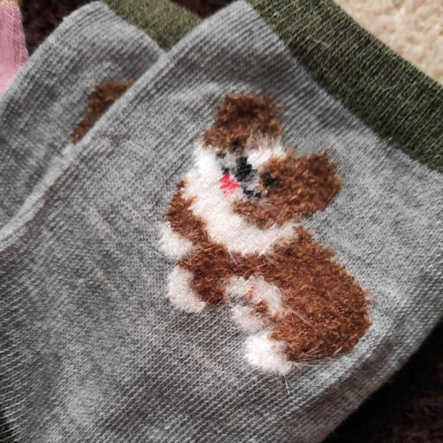 �������A�C�� �� �����t�@�b�V������ 