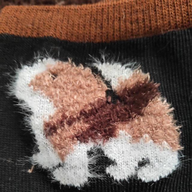 �������A�C�� �� �����t�@�b�V������ 