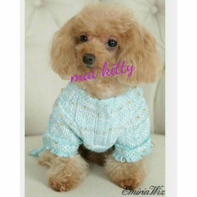 Dog ウェア < ブランド  Dog ウェア < ブランドの