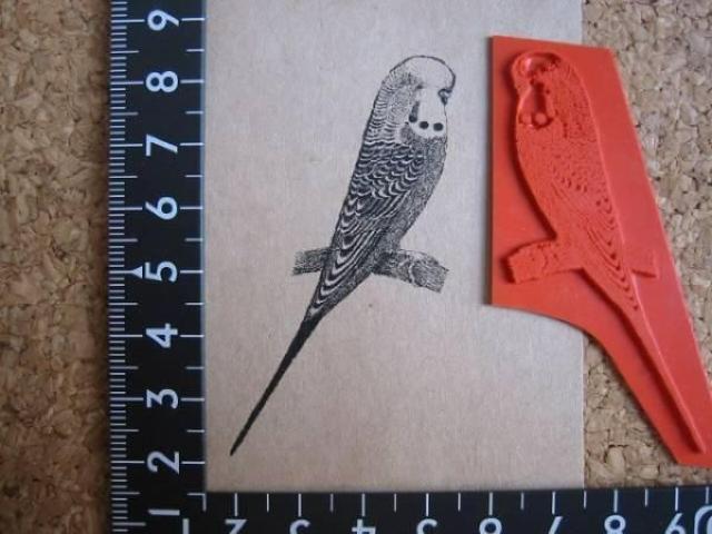 CR@Ƃ@A}Eg o[X^v   CeA/Ct 