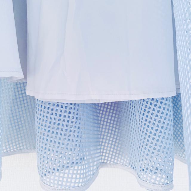 PEGGYLANAパンチングシースルーフレアラッセルメッシュスカート < 女性ファッション PEGGYLANAパンチングシースルーフレアラッセルメッシュスカート < 女性ファッションの