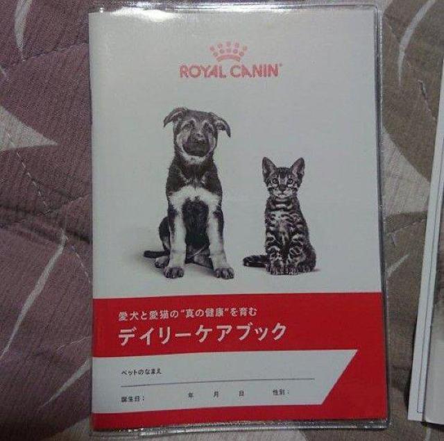 gp CJi fC[PAubN 蒠 qL̈ĕKChubN mxeB[ 3Zbg  ybg/|/| 