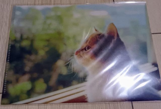 lRNAt@CA6     CeA/Ct 