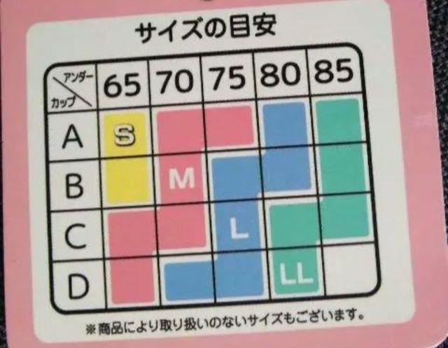 L★ととのえる★美レースノンワイヤーブラジャー★新品★送料無料 < 女性ファッション  L★ととのえる★美レースノンワイヤーブラジャー★新品★送料無料 < 女性ファッションの