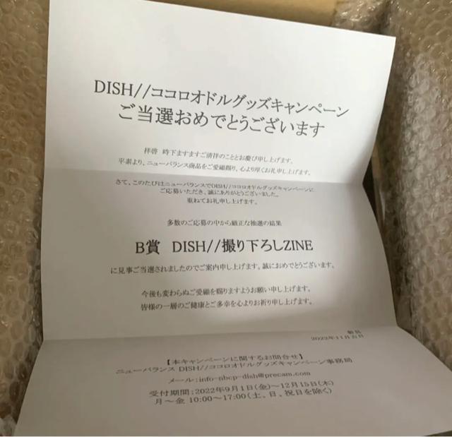 ニューバランス DISH// 非売品 撮り下ろしZINE zine dish 本 < タレントグッズ  ニューバランス DISH// 非売品 撮り下ろしZINE zine dish 本 < タレントグッズの