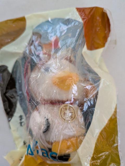 �A�t���b�N�X�g���b�v  �� �z�r�[�� 