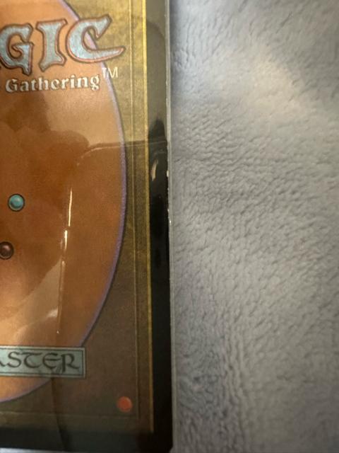 MTG �g���C���A�̃A�J�f�~�[ �� �g���[�f�B���O�J�[�h�� 