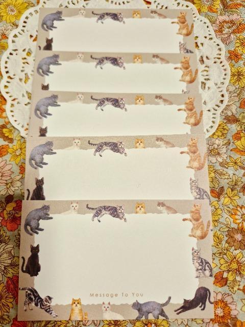 �����������L�̃��b�Z�[�W�J�[�h5����  �� �C���e���A/���C�t�� 