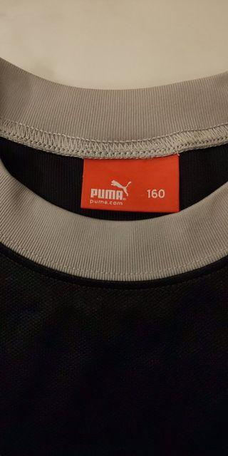 プーマ☆Tシャツ☆160☆ < ブランド  プーマ☆Tシャツ☆160☆ < ブランドの