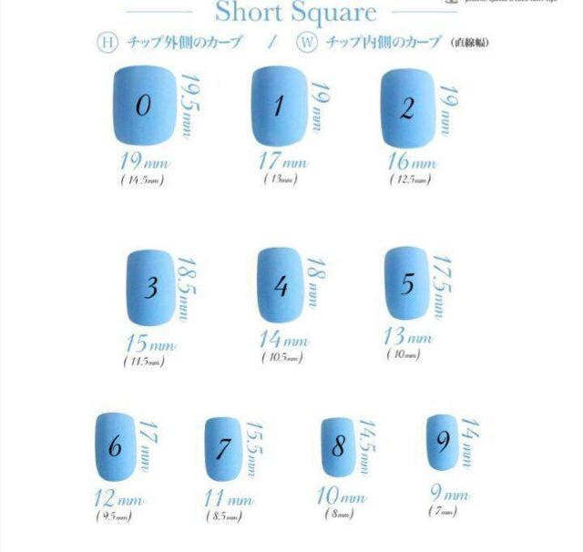 WFlC`bvt܁`VA[uEx[W̃t`~3DXXLj[  /RX/lC 